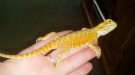 2012-09-26_12-06-49_95.jpg
