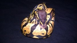 IMAG0015.jpg