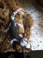 bp breeding 12 156.jpg