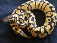 20120825_100629.jpg