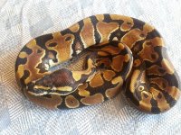 20120920_163520.jpg