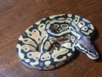 20120823_205158.jpg