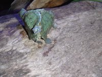DSCF1714.jpg
