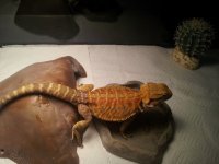 20120804_150838.jpg