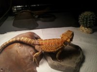 20120804_150825.jpg