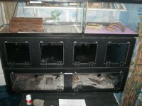 camera 41405 1284.jpg