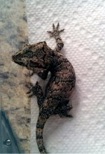 IMG_20121017_104202.jpg