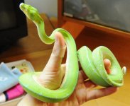 DSC_7573.jpg