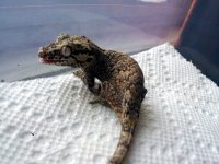 IMG_20121017_104446.jpg