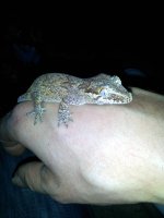 IMG_20121017_103315.jpg