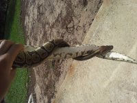 20120907_153044.jpg