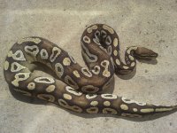 20120907_151653.jpg