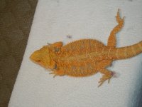 DSCN4547.jpg