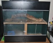 DSC_0775.jpg