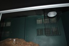 DSC_0777.jpg