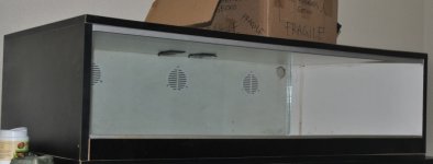 DSC_0770.jpg