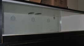 DSC_0771.jpg