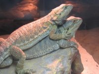 14255_24886_VeryLarge_1ZwQi8N1x1[1].jpg