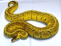 GEDC0482.jpg