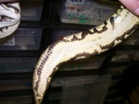 100_2789.jpg