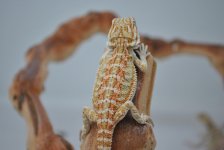 male4.jpg