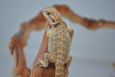 female5.jpg