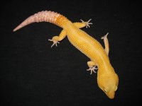 IMG_0371.jpg