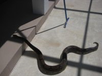 IMG_5824.JPG