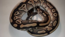 2012-09-09_20-47-49_269.jpg