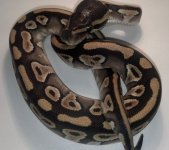 2012-09-09_20-48-10_124.jpg