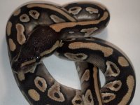 2012-09-09_20-48-23_513.jpg