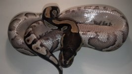 2012-09-09_20-44-50_315.jpg