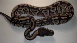 2012-09-09_20-44-26_852.jpg