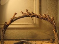 IMG_0741.JPG