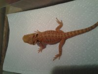 20120916_194450.jpg