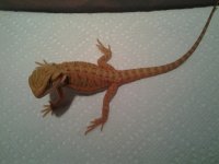 20120916_194545.jpg