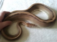 2012-10-28141418.jpg