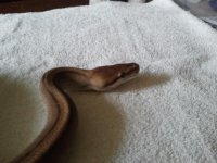 2012-10-28141516.jpg