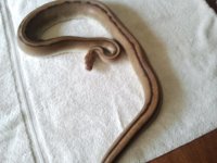 2012-10-28141604.jpg