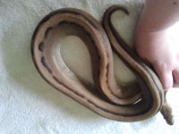 2012-10-28141456.jpg