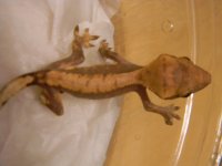 DSCN0321.jpg