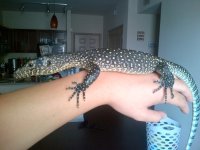 Alvin-Pearland-20120807-00027.jpg