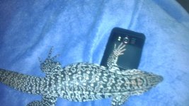 IMAG0637.jpg