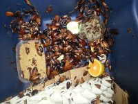 20120913_194237.jpg