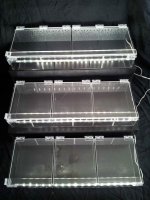20120328_163352.jpg