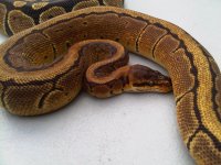IMG-20121018-00010.jpg