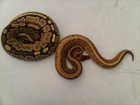 IMG-20121018-00006.jpg