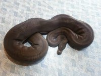 20120920_163122.jpg