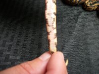100_6895.JPG