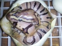 20120826_154332.jpg